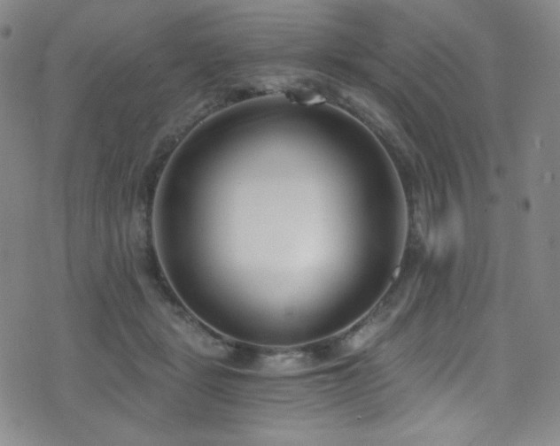 X0000072950461200607211131