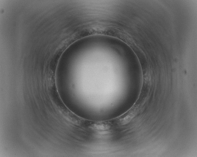 X0000072950464200607211131