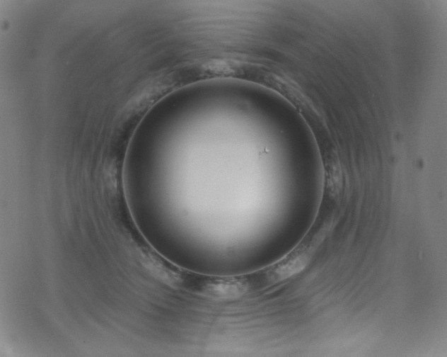 X0000072950466200607211131