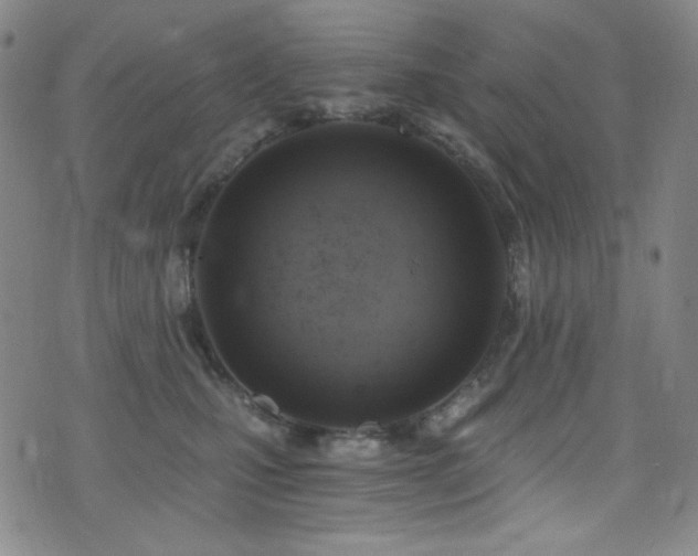 X0000072950471200607211131