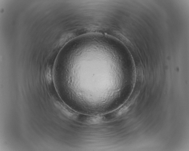 X0000072950479200607211131