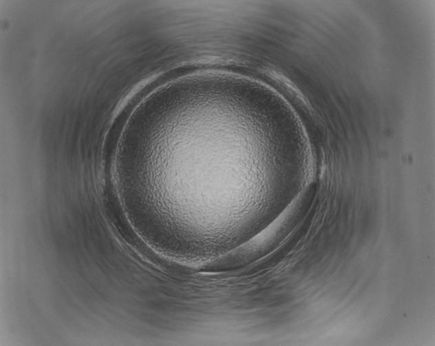 X0000072950484200607211131