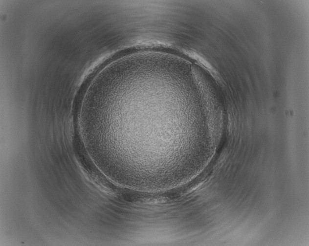 X0000072950488200607211130