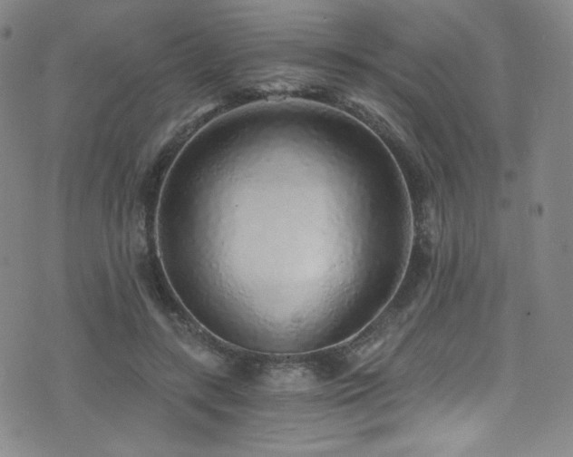 X0000072950547200607211129