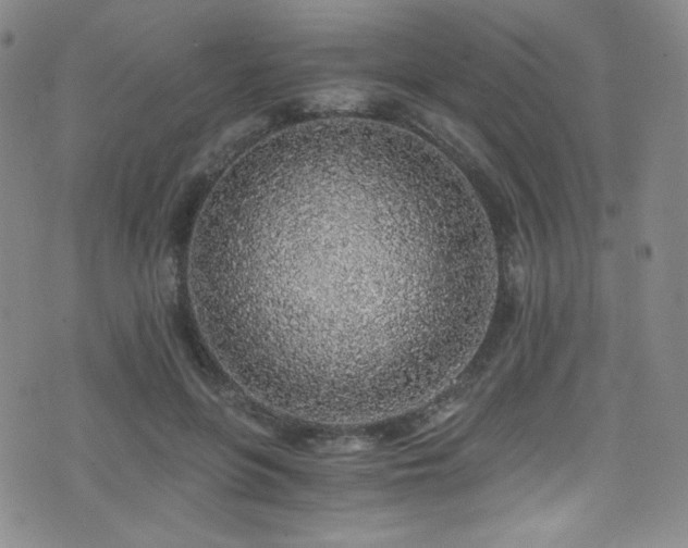 X0000072950551200607211129