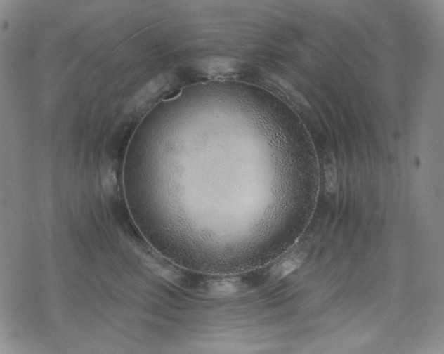 X0000072950618200607211128