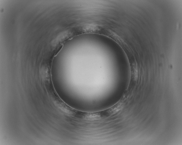 X0000072950619200607211128