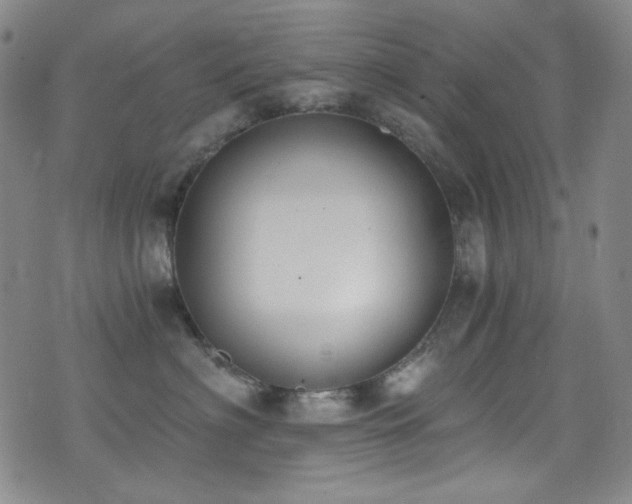X0000072950622200607211128