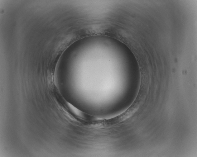 X0000072950624200607211128