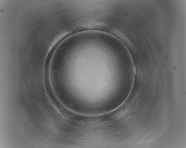 X0000072950626200607211127