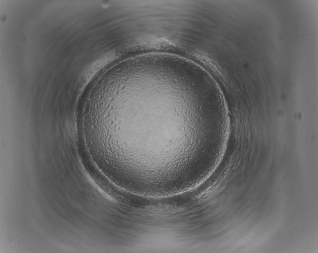 X0000072950630200607211128