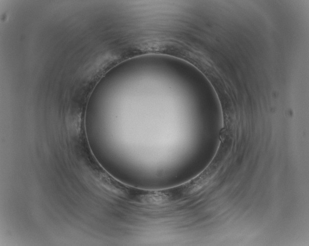 X0000072950652200607211128