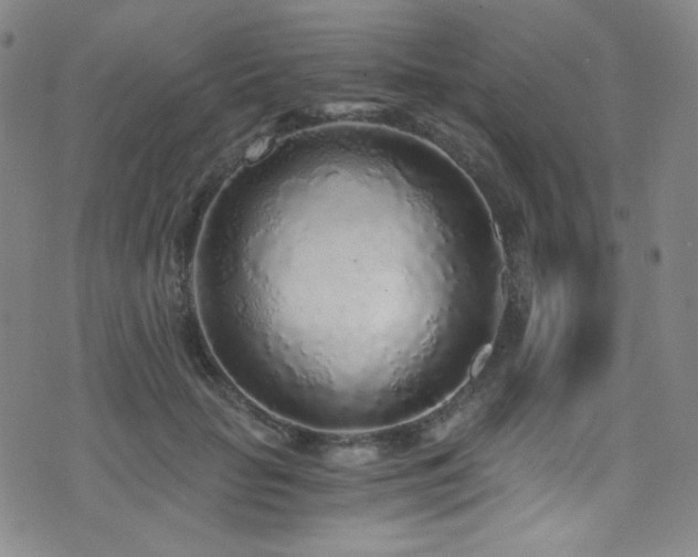 X0000072950653200607211128