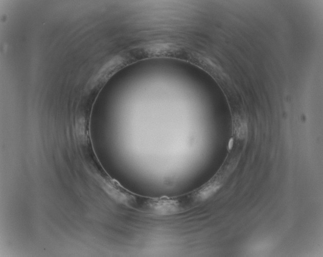 X0000072950670200607211128