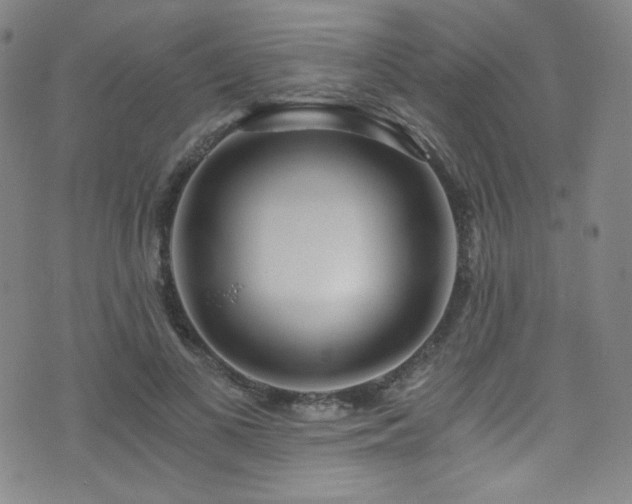 X0000072950693200607211127