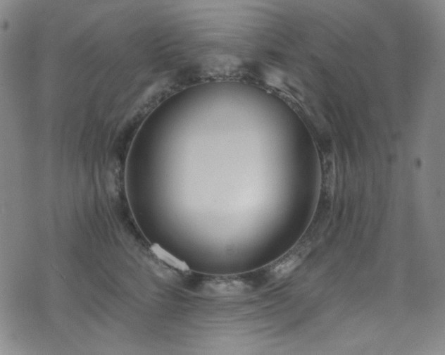 X0000072950712200607211127