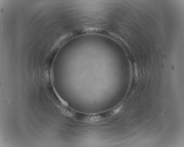 X0000072950716200607211127