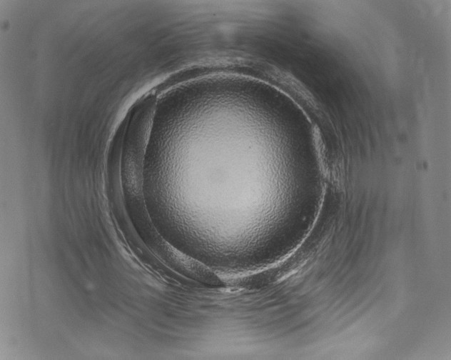 X0000072950724200607211126