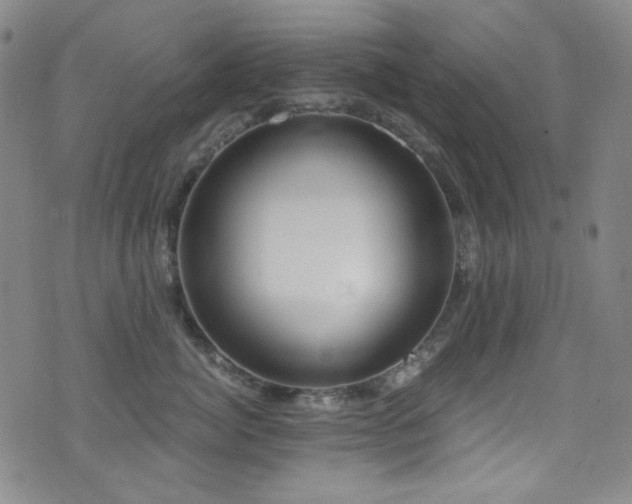 X0000072950764200607211127