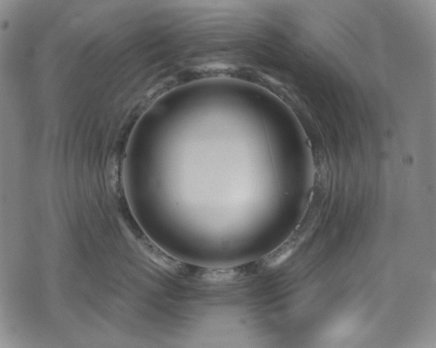 X0000072950767200607211127
