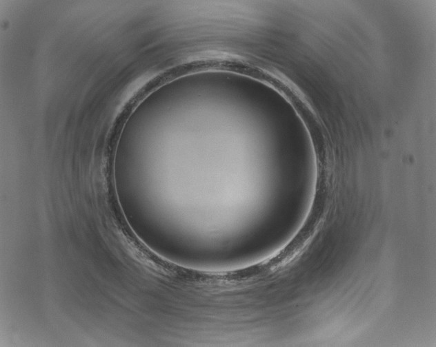 X0000072950783200607211126