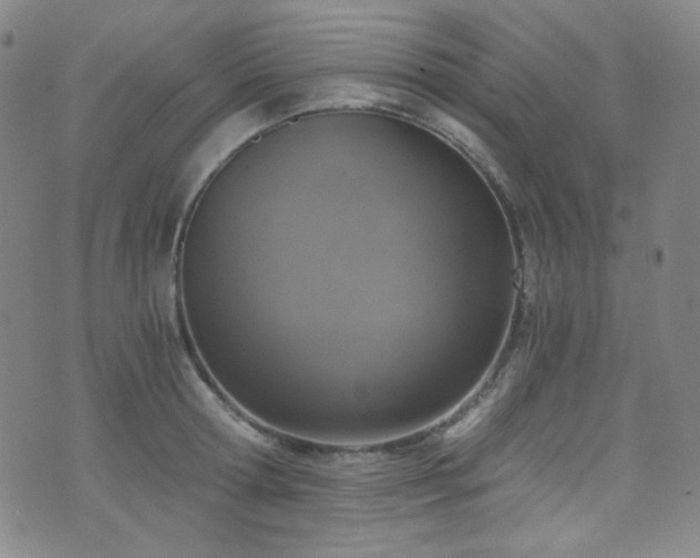 X0000072950802200607211125