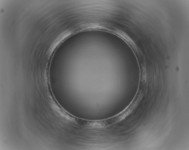 X0000072950806200607211125
