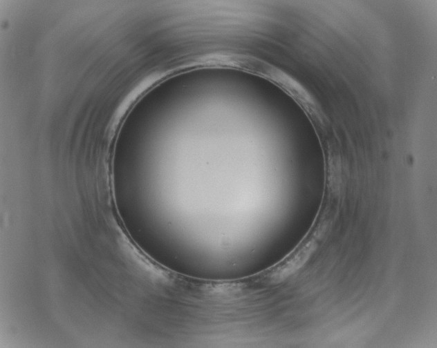 X0000072950808200607211125