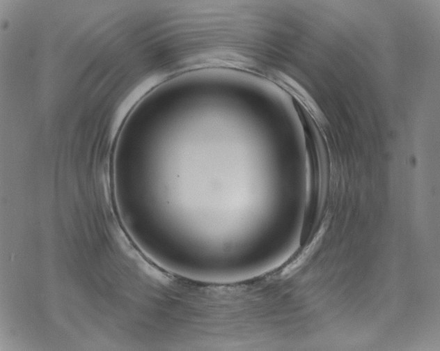 X0000072950812200607211125