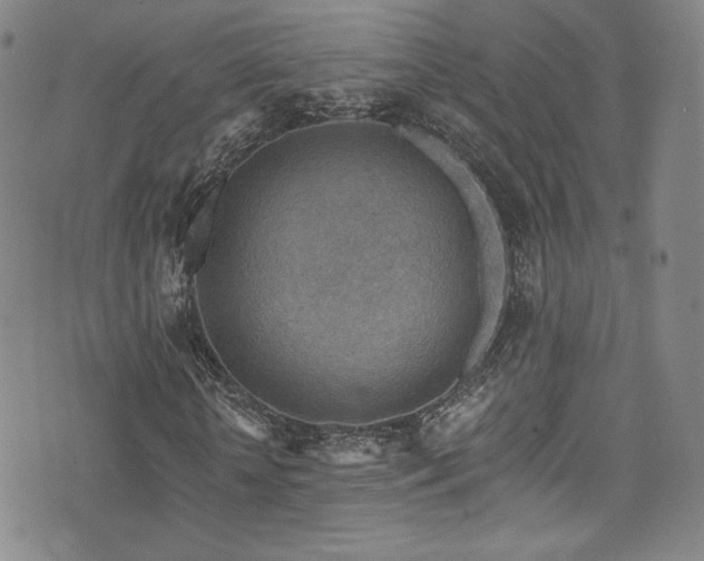 X0000072950818200607211124
