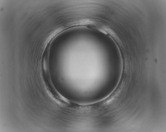 X0000072950850200607211125