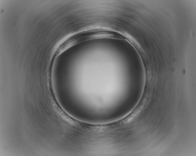 X0000072950854200607211125