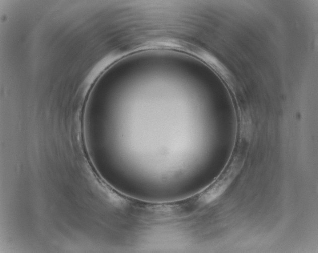 X0000072950862200607211125