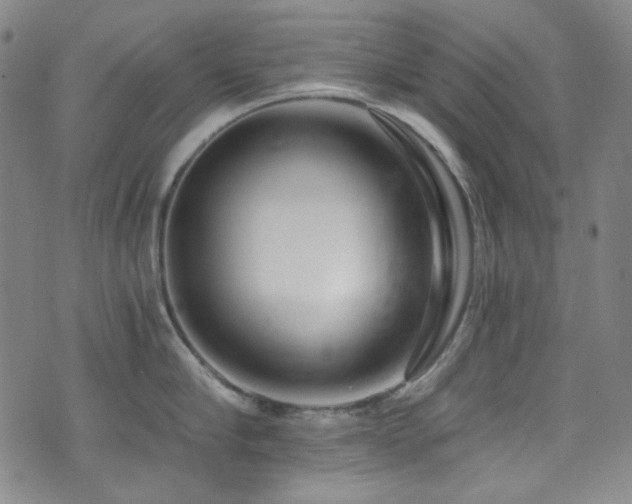 X0000072950910200607211124