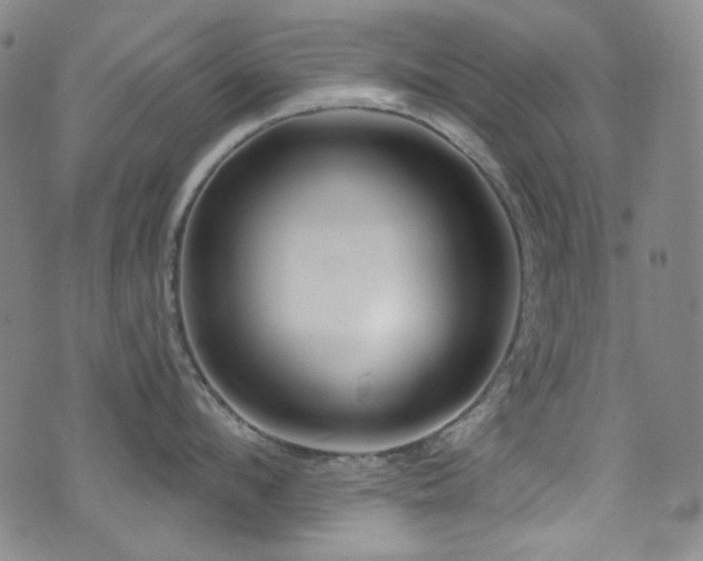 X0000072950912200607211124