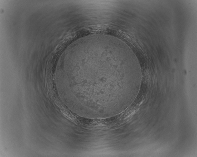 X0000072950913200607211123