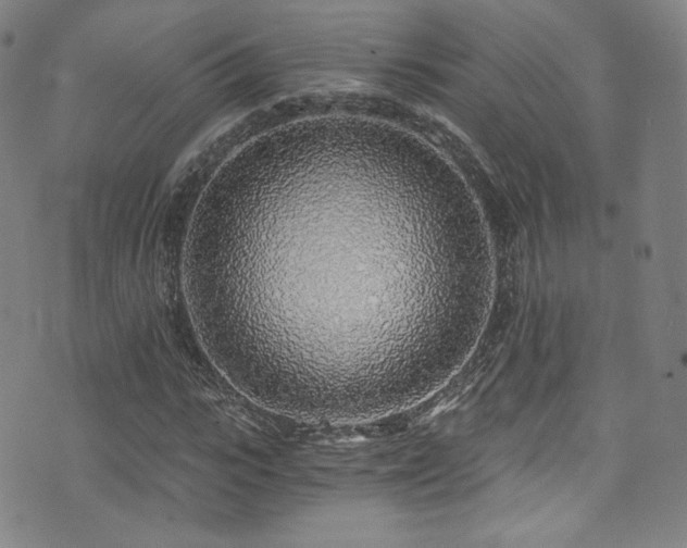 X0000072950919200607211123