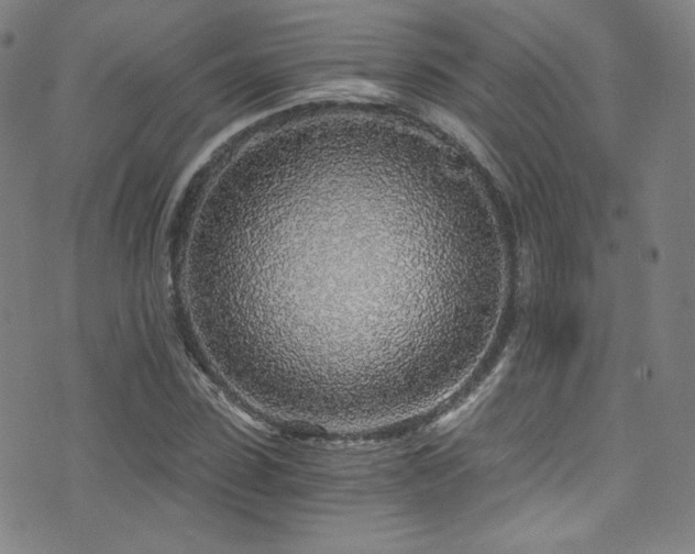 X0000072950923200607211123