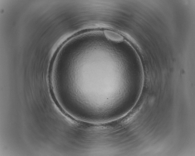 X0000072950943200607211123