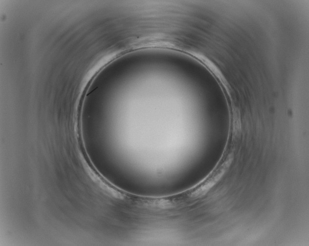 X0000072950957200607211123
