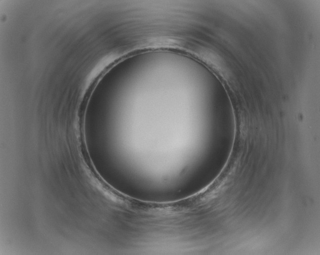 X0000072950990200607211122