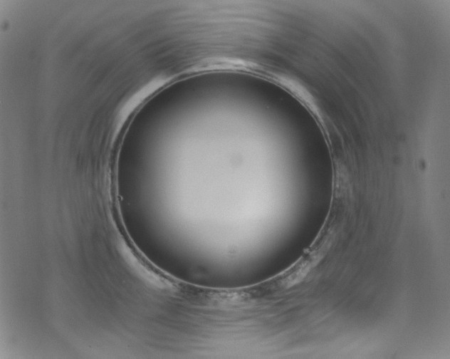 X0000072951003200607211122