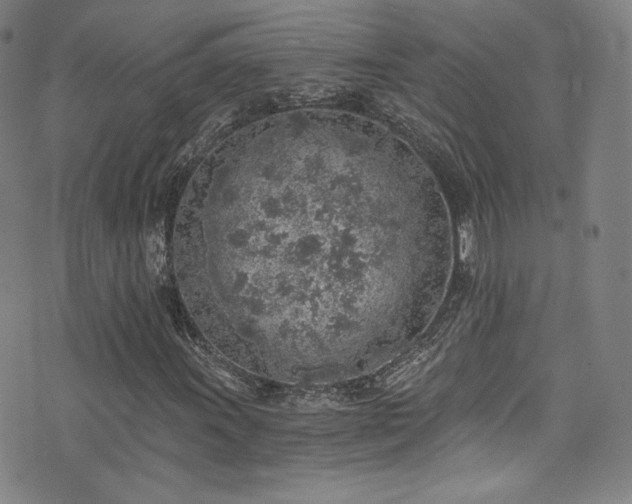 X0000072951011200607211121