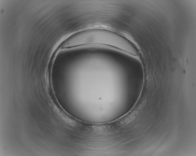 X0000072951032200607211122