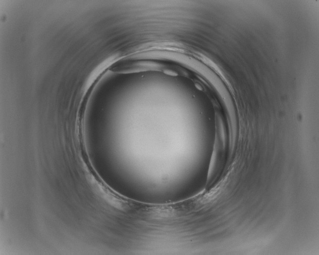 X0000072951050200607211122