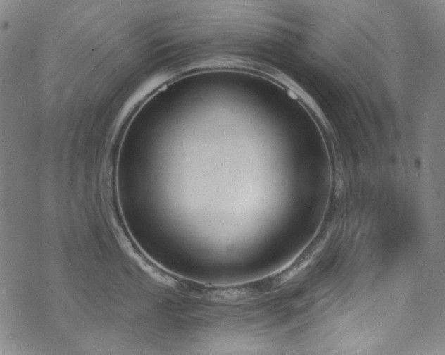 X0000072951053200607211122