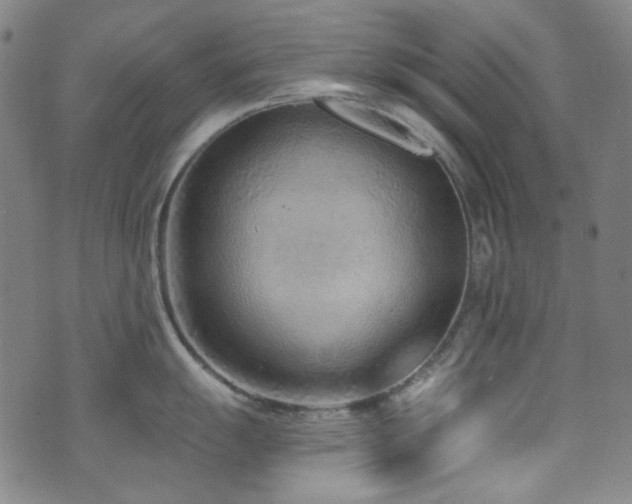 X0000072951055200607211122