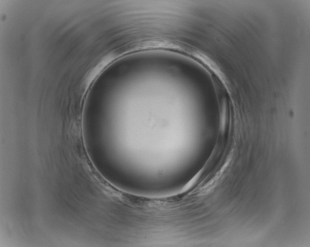 X0000072951097200607211120
