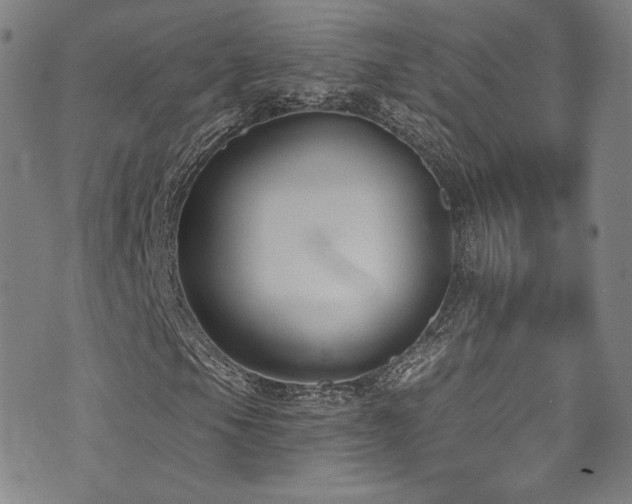 X0000072951105200607211120