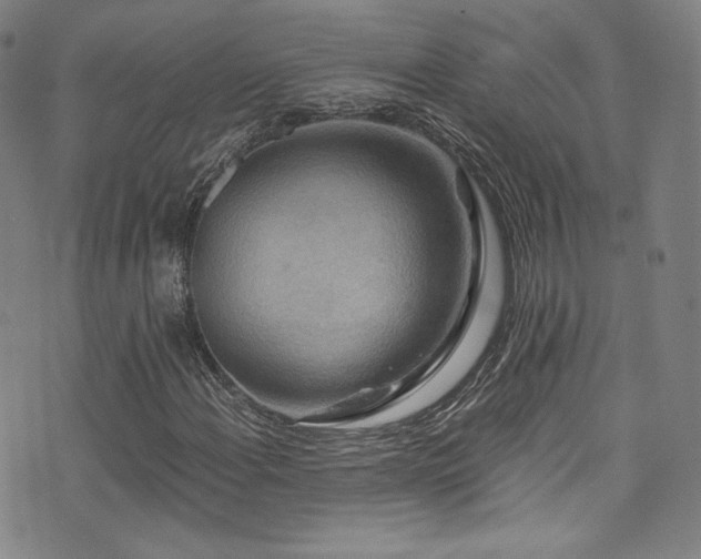 X0000072951108200607211120